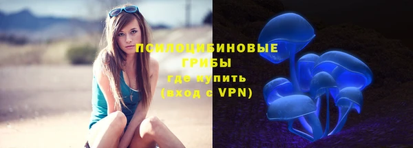 а пвп мука Бугульма
