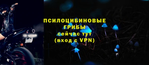экстази Чекалин