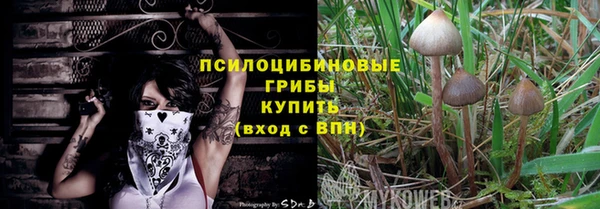 прущая мука Шали