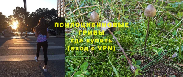 соль курить ск Бородино