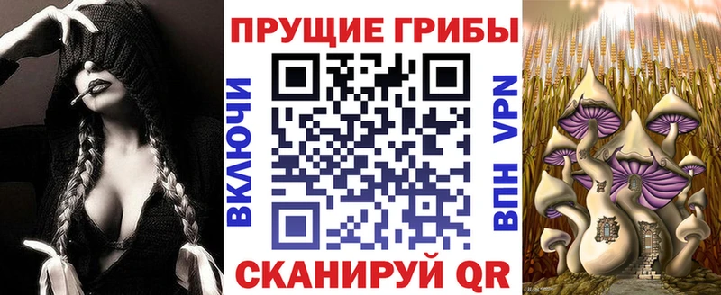 закладки  Кола  Псилоцибиновые грибы ЛСД 